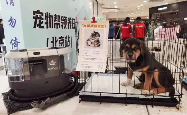 你家狗多久洗一次?我家狗都快把我逼疯了...