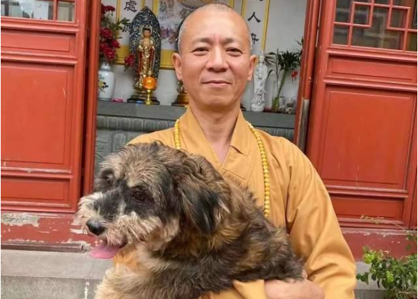 和尚不念经！27年救5500只流浪狗，用实际行动践行「慈悲为怀」