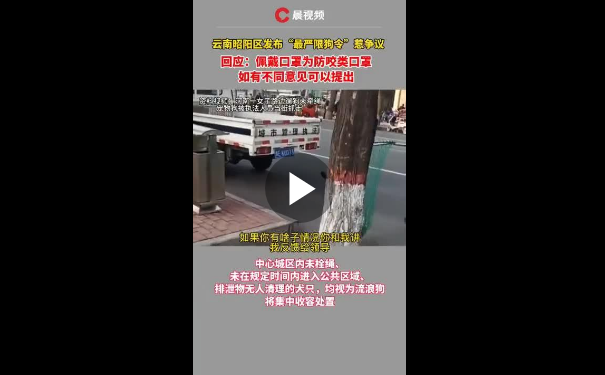 白天不能遛狗,还要给狗戴口罩?云南昭通回应“最严限狗令”