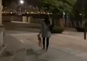 狗狗被主人提着耳朵丢弃公园，吓到失禁，网友：不是第一次了！