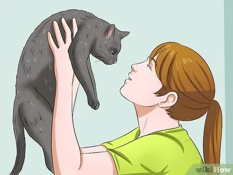 如何轻松给猫咪喂药？步骤详解与常见误区