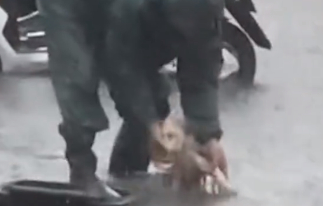 狗狗下雨天还总往外跑，主人一气之下直接用路上积水给狗洗了个澡