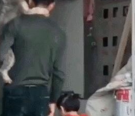 男子肩上背着宠物狗狗，手上却牵着女儿，网友：不理解但莫名暖心
