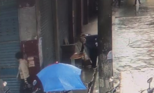 “当街打死金毛犬”事件调查：社区寻主人未果按流浪狗处理