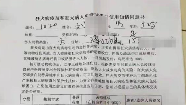 “当街打死金毛犬”事件调查：社区寻主人未果按流浪狗处理
