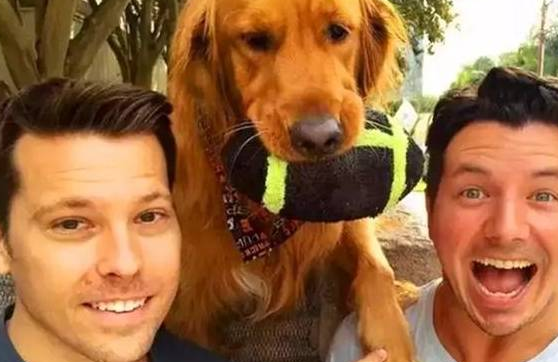 可爱的狗子爱趴在墙上，每天都会冲着路人卖萌，把路人撩来摸自己