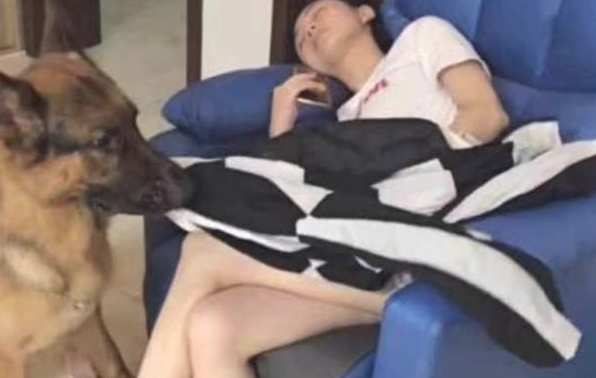 狗狗趁漂亮美女入睡做这样的事情，男朋友见到后一脸难堪，网民：真贴心
