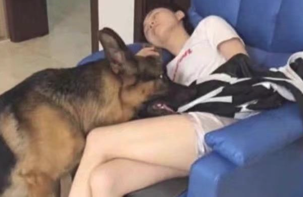 狗狗趁漂亮美女入睡做这样的事情，男朋友见到后一脸难堪，网民：真贴心