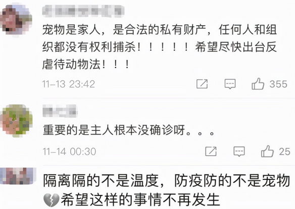 “隔离宠物狗被扑杀”，别拿别人的宠物当畜生