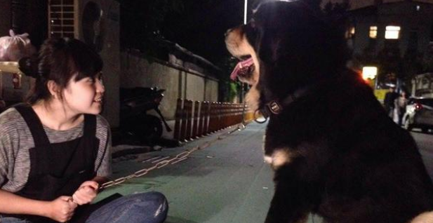 巨犬在店，不怕可进！虽然狗狗在打瞌睡，但没人敢进门！