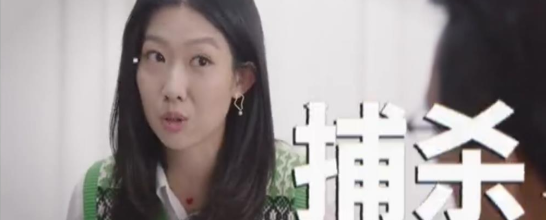 储殷：流浪猫狗都是入侵动物，应该直接捕杀