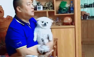 男子看电视剧习惯性怀着狗狗，狗狗却一脸的万般无奈：谁可以帮帮我呀