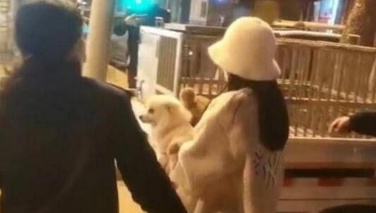 遛狗扑倒小孩，狗主人却称“狗比娃金贵”！警方：处罚狗主人1300元