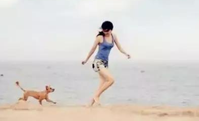 流浪狗到新家的感觉 | 流浪狗走进新家的所有第一次，那种不知所措我们真的不懂！