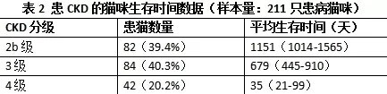 猫咪肾病，早期症状与预防