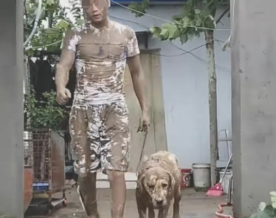 主人把狗狗赶出家门口，回家时的模样令人笑喷