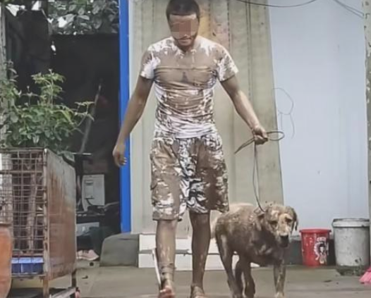 主人把狗狗赶出家门口，回家时的模样令人笑喷