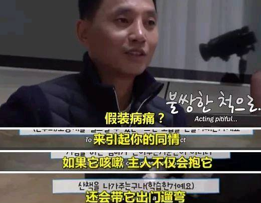 你知道你的狗子为了出去玩 有多拼吗？