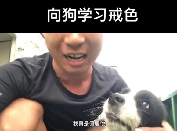 戒色博主晒18岁边牧，说它长寿是没见过母狗！网友破防：难怪我能活到20岁...