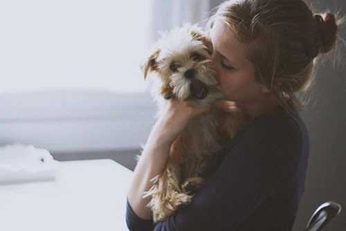 主人让爱宠照顾宝宝,狸花猫与柴犬无奈对视,但行动上却很温柔!