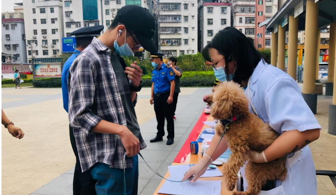 11月起未给犬只注射芯片视为无证养犬，宠物医生称排异概率极低