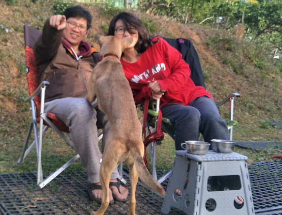 唐狗突然冲入全家福镜头,顿时爱犬成最大亮点