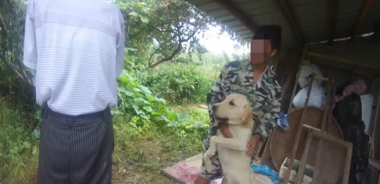 老汉拾到拉布拉多犬不还惹纠纷，狗儿却直扑主人怀中