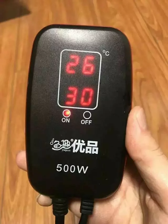 养鱼三板斧:升温对鱼有什么好处?
