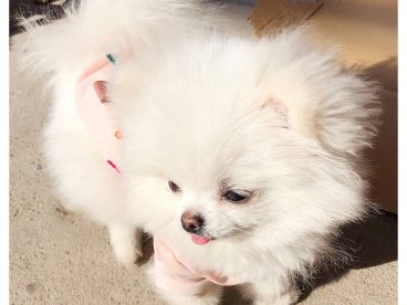 天气好，心情也好，洗完澡‍️感觉全世界都清净了