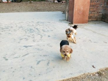 周末了，夕阳西下以前不陪你们疯狂一下怎么行