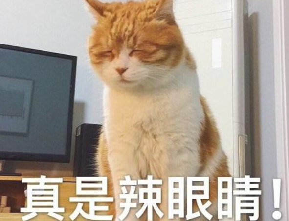老公给狗狗冼澡，好长时间也没有出去，女子进洗手间一看，真的想一脚踢飞！