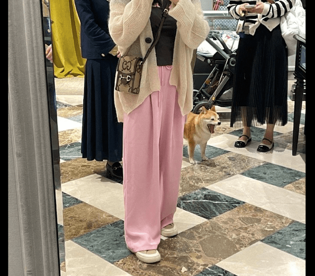 女生带上小狗外出逛街购物，试穿拍下它打呵欠的模样，连狗都累了！