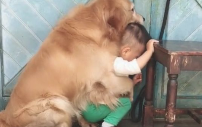 宝宝犯错误了,爸爸拿着棍子打宝宝,狗狗的姿势,令人打动的流泪