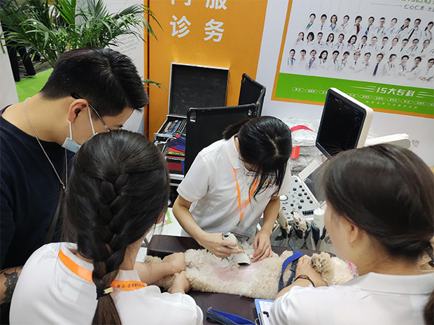 新瑞鹏即将亮相2023上海亚宠展,三大亮点提前看