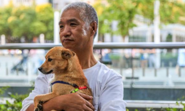 狗狗丢失两个月后，见到主人竟主动跑开，主人用爱帮它找回记忆