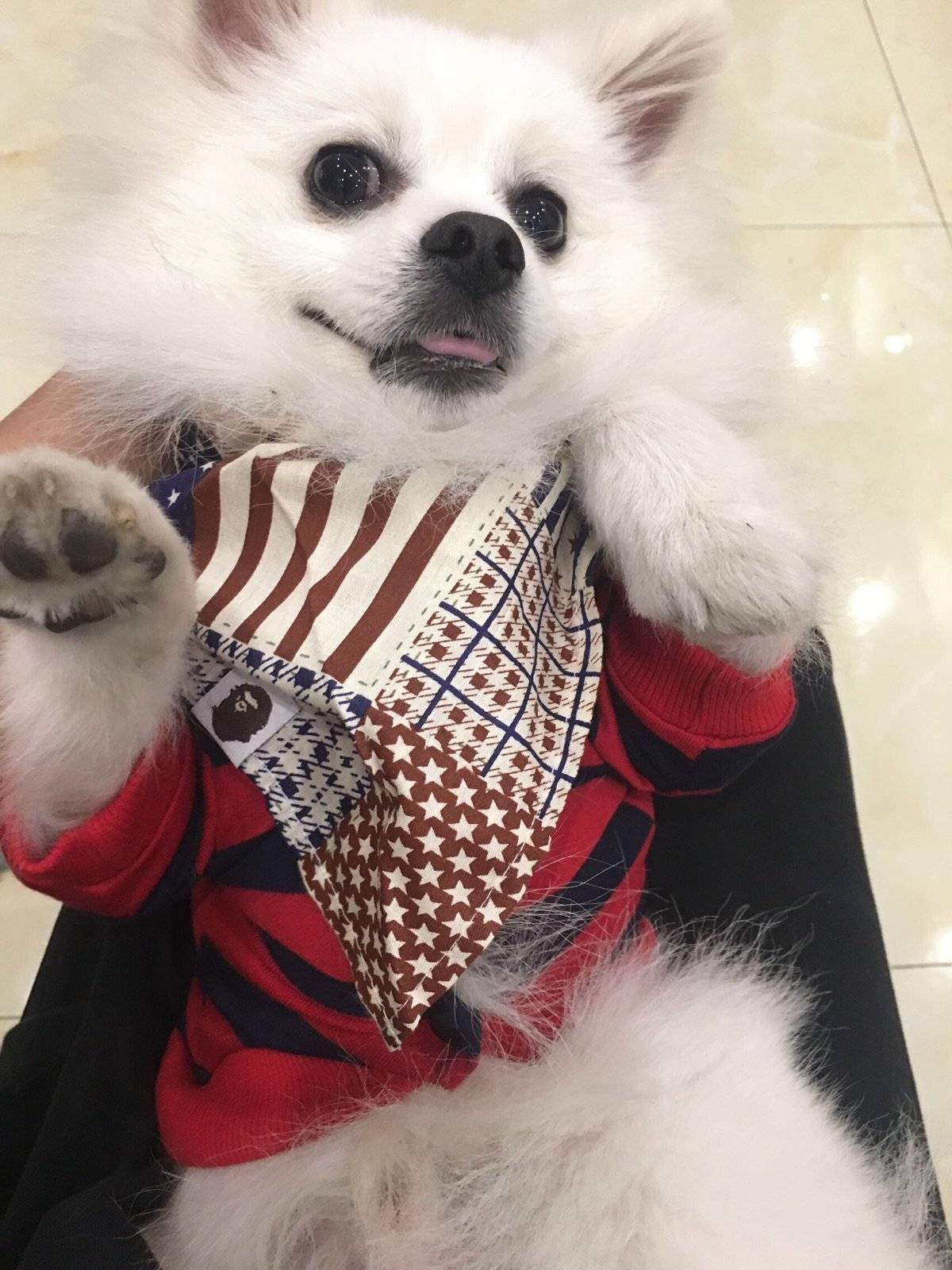 我不拍照，我不拍照