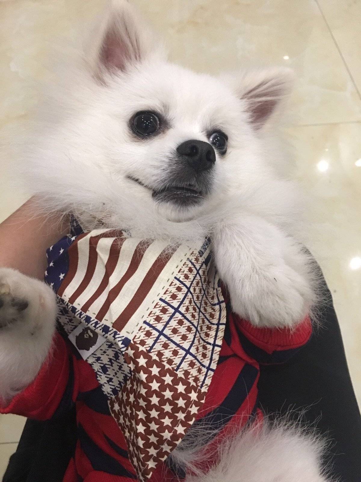 我不拍照，我不拍照