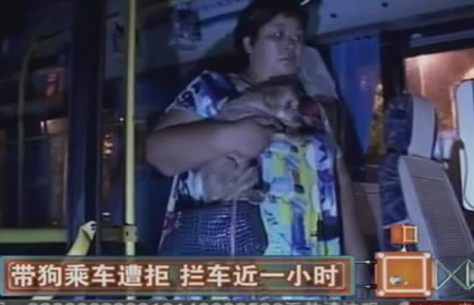老人 偷带宠物乘车 宠物狗乱跑扰乱乘客