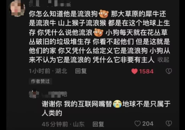 我为流浪狗发声！抵制大规模捕杀流浪狗！