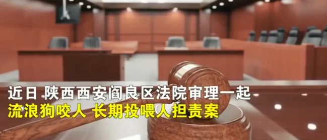 陕西西安，市民方某在小区散步时不慎被一只流浪狗咬伤了右腿