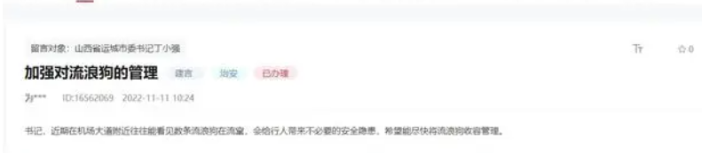 网友建议加强流浪狗的收容管理 山西运城：专项整治