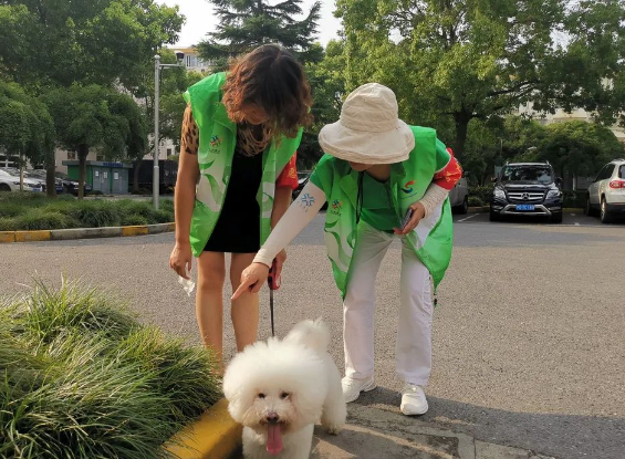 文明城区长效管理｜倡导文明养犬，志愿者在行动