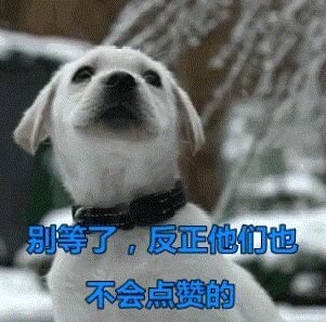 主人在床上吃东西，一回头看到哈士奇的狗头，主人笑到满床打滚