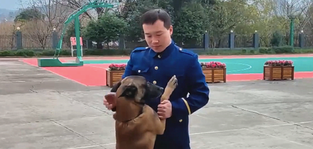 训犬员退役后,狗狗扒着车门不愿让他离开