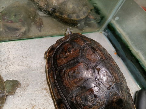 get_img-65 get_img-65
