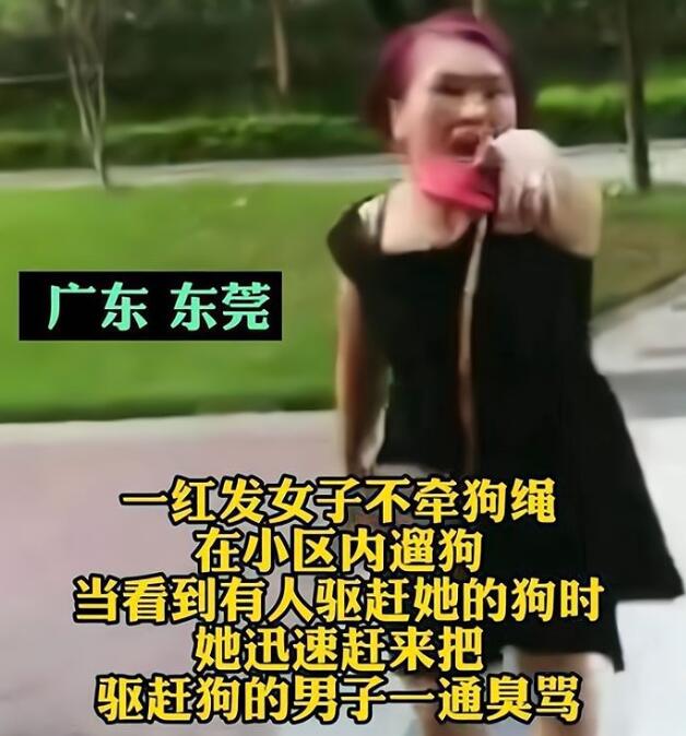 真是嚣张!遛狗不拴绳还有理了?还叫嚣“喊老公带人来弄死他”