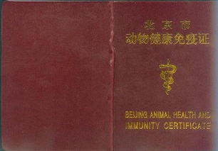 宠物健康证明怎么办理，宠物健康证明怎么开