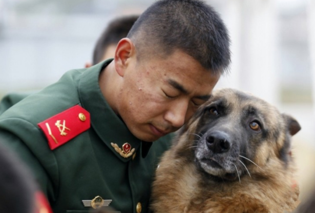 士兵与忠犬的各自照，哪一張会给你落泪