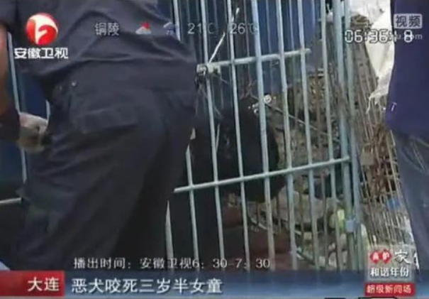 只有人文明了，狗才能够文明