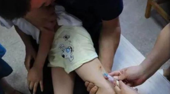 只有人文明了，狗才能够文明